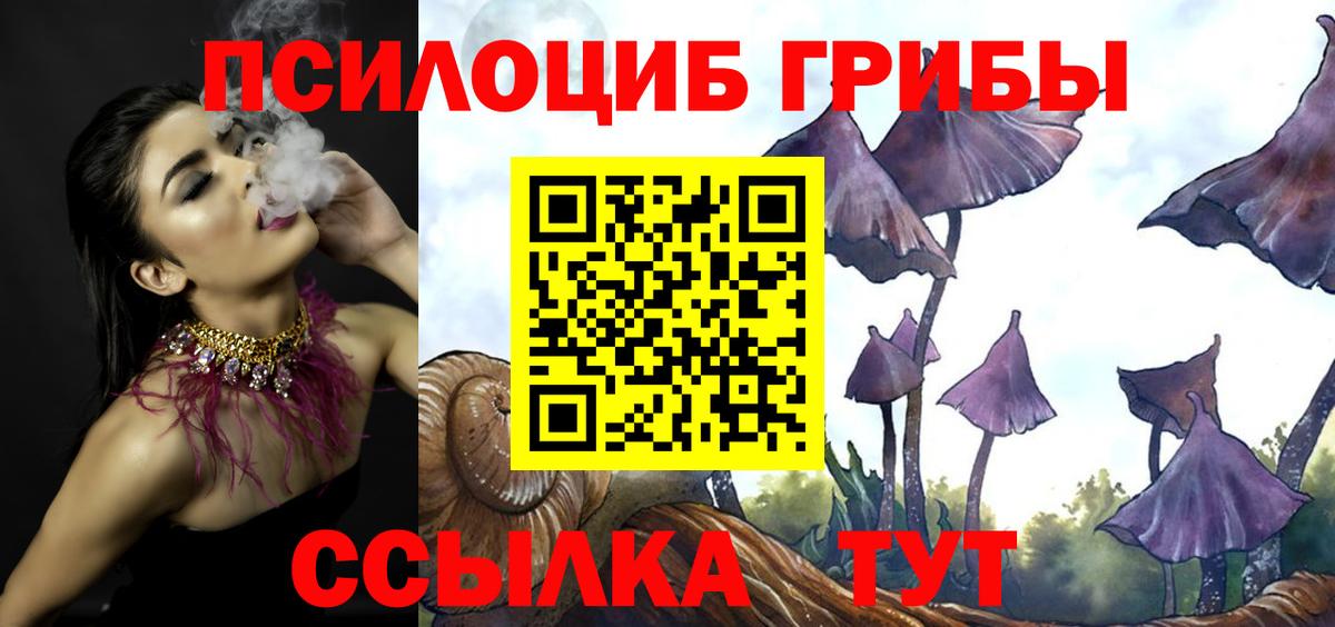 Галлюциногенные грибы Magic Shrooms  Вход с VPN  Усинск  Галлюциногенные грибы Psilocybine cubensis 