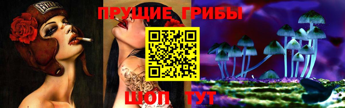 Псилоцибиновые грибы Cubensis Усинск
